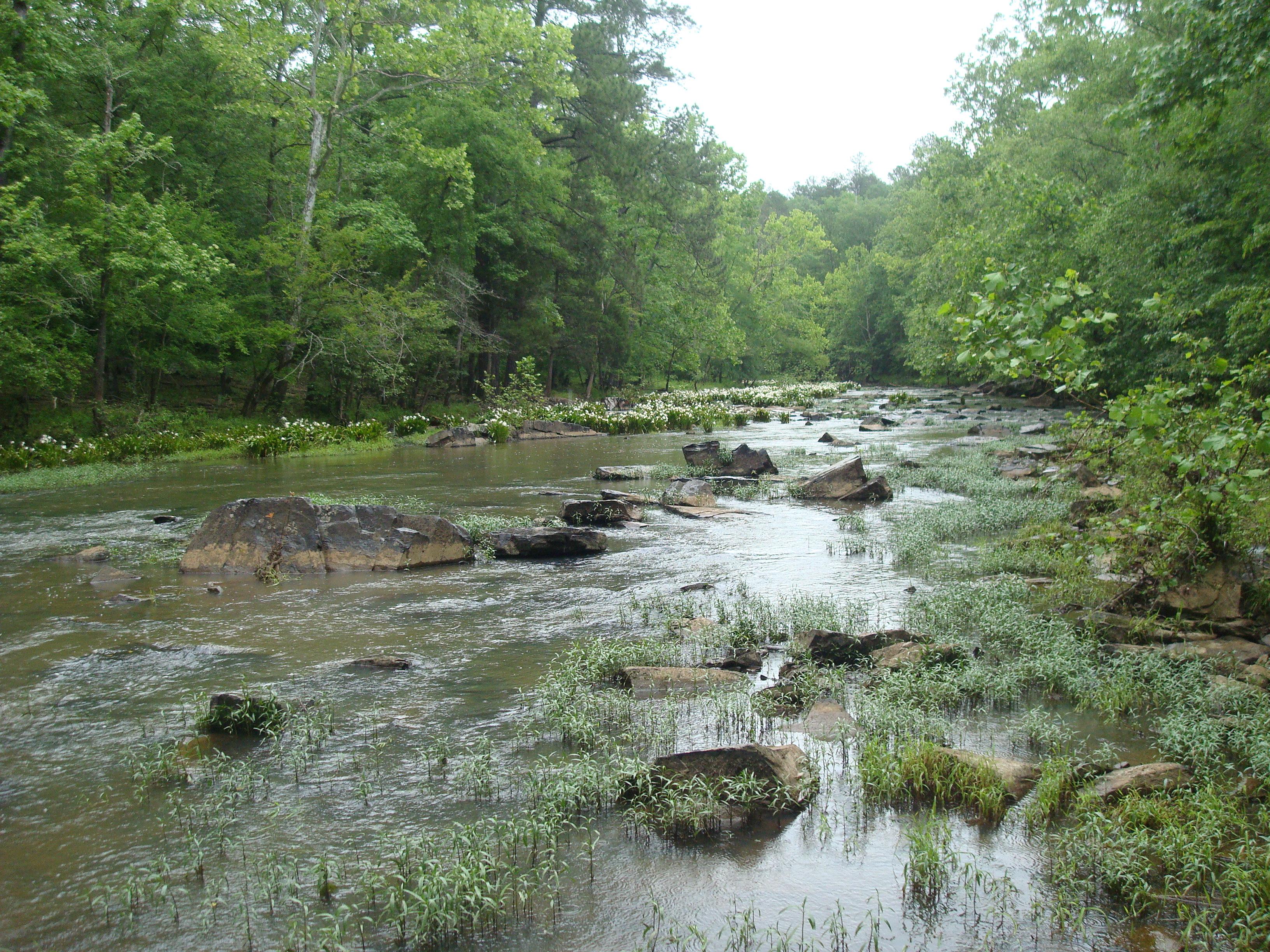 497 + or - Acres McCormick County SC, Greenwood SC