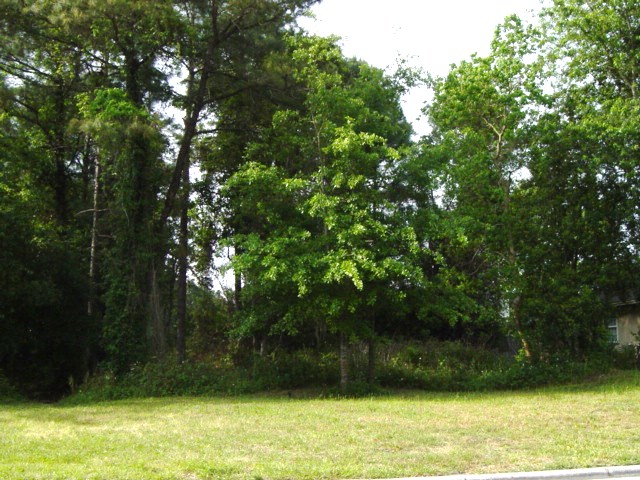 Lot 65, Running River Rd., Jacksonville FL