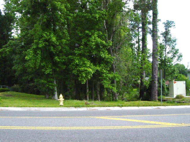 Tract 16,  Park St., Jacksonville FL