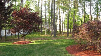 3617 Ruth St, Indian Trail NC