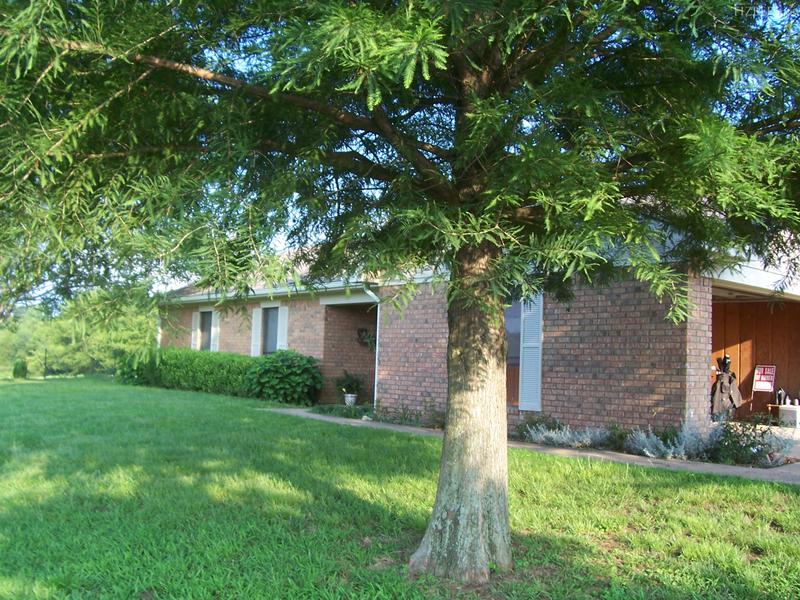 473 Se Cr 3370, Winnsboro TX