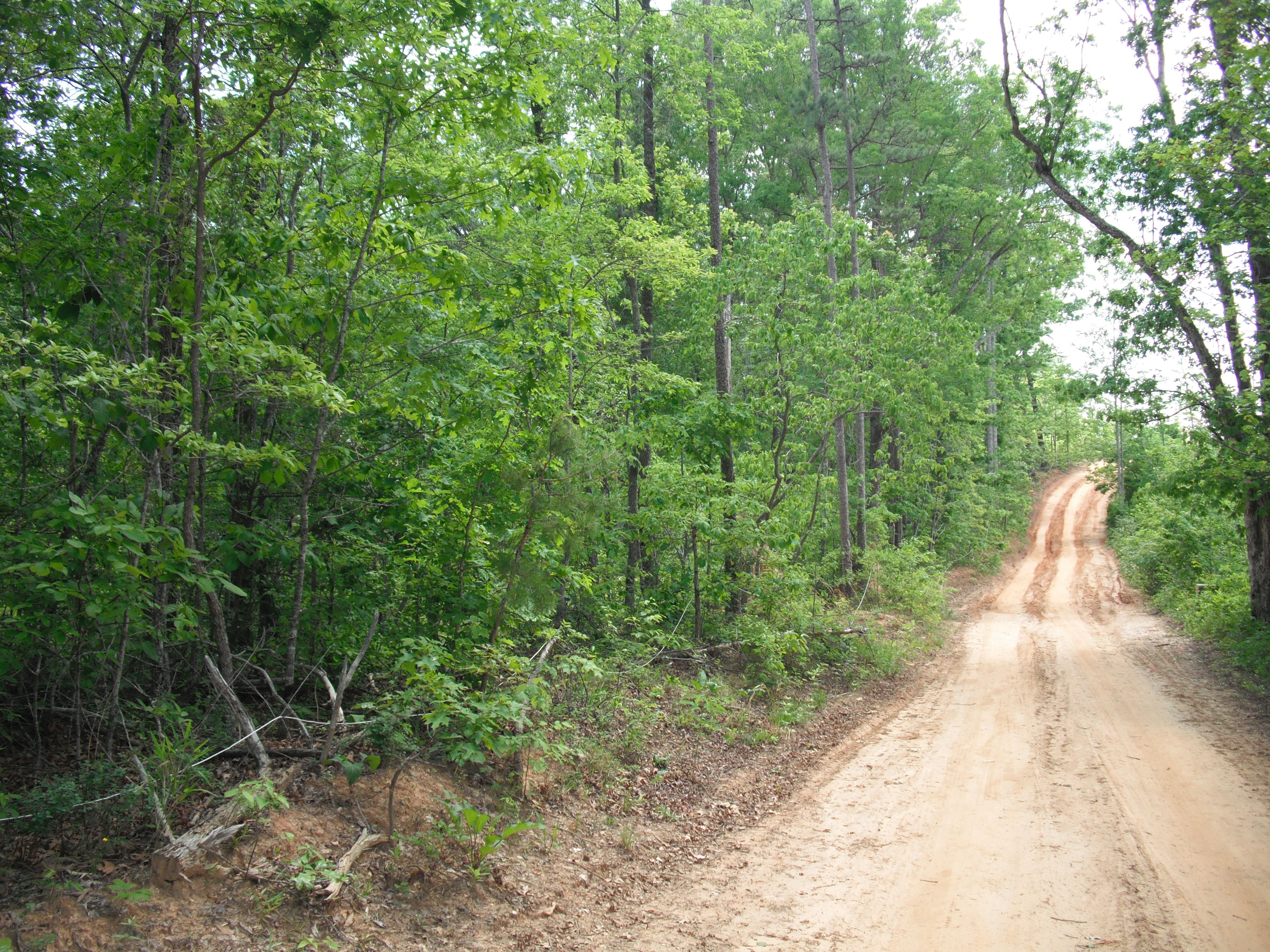Daves Valley Rd, Pumpkintown SC