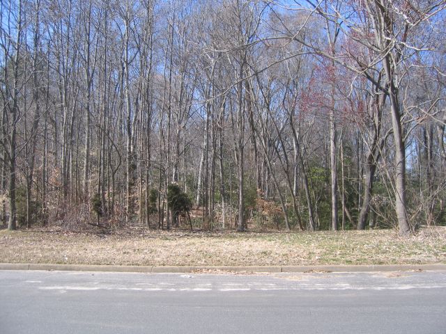 Ironington Road, Richmond VA