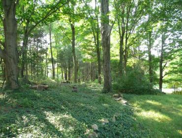 90 Flat Meadow Road, Guilford CT