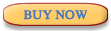 Buy Now Button